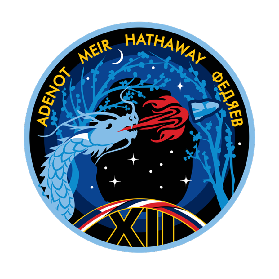NASA MISSION STAMP