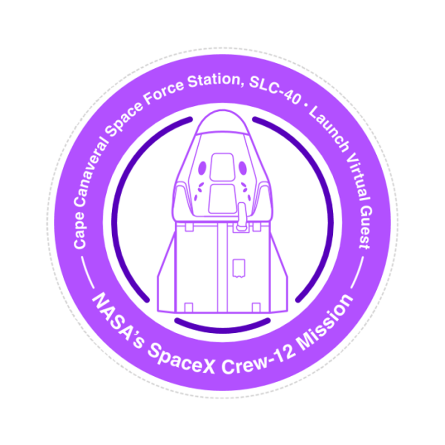 NASA MISSION STAMP