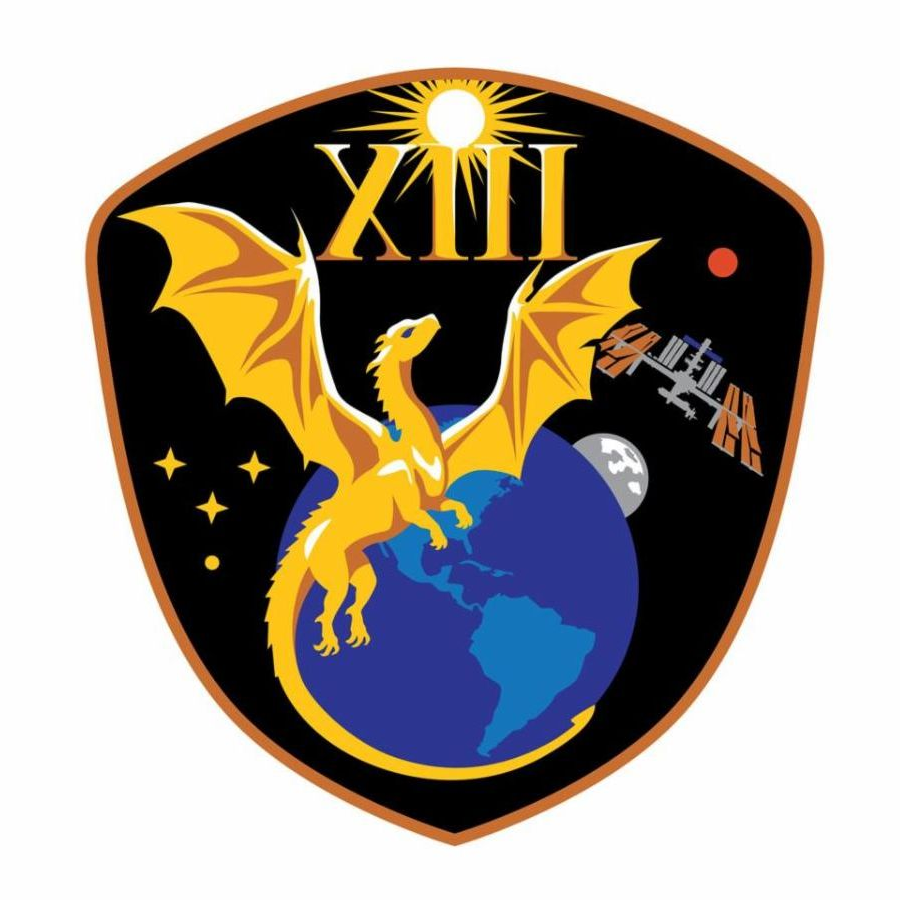 NASA MISSION STAMP